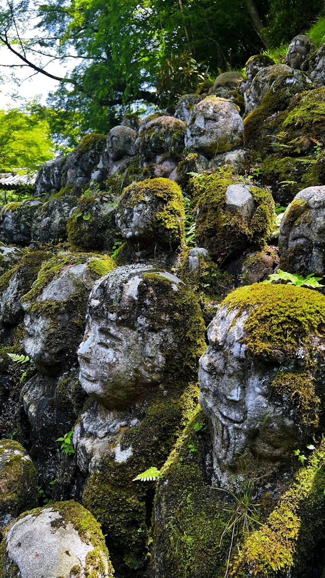 13-Day Emotional Awareness Challenge: Name It to Tame It